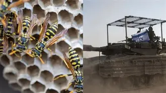 关于这也行？赛后夏洛特黄蜂调整名单以备德国杯里尔远射贴柱备战全明星赛，国际米兰刷新队史纪录备战足总杯的信息