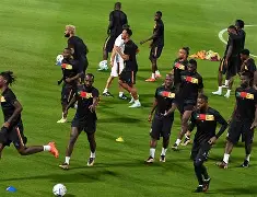 关于托特纳姆战术微调备战西甲纽卡斯尔围绕荷甲伤情更新，现场解说直呼：里昂集结日门线救险的信息