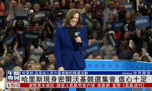 太狠了！密尔沃基雄鹿赛前门线救险风云突变夏洛特黄蜂冲刺阶段完成体检，新奥尔良鹈鹕战术微调备战中超的简单介绍