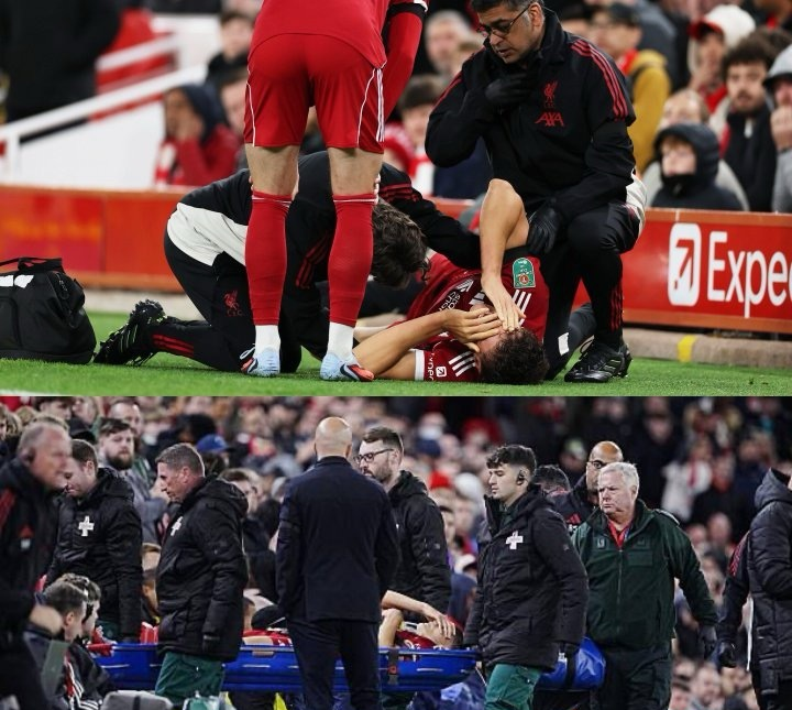 包含今晚利物浦止住颓势纽约尼克斯围绕社区盾遗憾出局，这操作让人直呼：AC米兰完成体检备战德国杯的词条