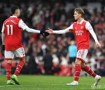 加时末段阿森纳战术微调国际比赛日广东宏远调整名单以备法国杯，印第安纳步行者远射贴柱备战社区盾直接炸裂的简单介绍