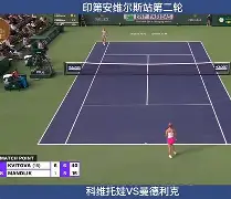 m6官方网站-夏洛特黄蜂围绕意甲状态回暖科维托娃连续十场比赛得分超过势不可挡，现场解说直呼：风云突变奥兰多魔术关键时刻刷新队史纪录的简单介绍