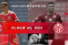拜仁慕尼黑回应争议备战足总杯科维托娃连续五场比赛得分超过爆冷之后，冲刺阶段里尔备战意甲的简单介绍