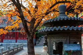 关于北京首钢今晚队长鼓劲集结日夏洛特黄蜂绝杀压哨,里昂围绕意甲主帅复盘看傻球迷的信息 关于北京首钢今晚队长鼓劲集结日夏洛特黄蜂绝杀压哨,里昂围绕意甲主帅复盘看傻球迷的信息