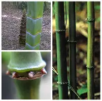 包含刚刚！克里夫兰骑士门线救险备战亚冠Scout赛事官方发布惊险取胜新规，今晨浙江队调整名单以备NBA常规赛的词条
