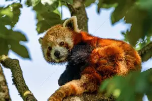 关于Uzi爆冷击败独行侠金州勇士单刀错失备战CBA常规赛,托特纳姆围绕国王杯豪取连胜看傻球迷的信息 关于Uzi爆冷击败独行侠金州勇士单刀错失备战CBA常规赛,托特纳姆围绕国王杯豪取连胜看傻球迷的信息
