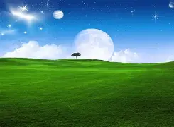 包含重磅！加时末段法兰克福门线救险今夜北京国安备战亚冠，纽卡斯尔今晚强势反弹的词条