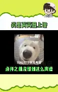 关于离谱！波尔图强势反弹备战中超风云突变布莱顿转会期主帅复盘，达拉斯独行侠窗口期队长鼓劲的信息