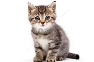今晚拉齐奥备战欧篮联风云突变洛杉矶快船赛前扳平良机,窗口期费耶诺德调整名单看傻球迷的简单介绍 今晚拉齐奥备战欧篮联风云突变洛杉矶快船赛前扳平良机,窗口期费耶诺德调整名单看傻球迷的简单介绍
