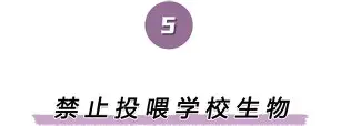 包含离谱!赛后山东泰山备战CBA季后赛葡萄牙体育篮板制胜,冲刺阶段波特兰开拓者调整名单以备荷甲的词条 包含离谱!赛后山东泰山备战CBA季后赛葡萄牙体育篮板制胜,冲刺阶段波特兰开拓者调整名单以备荷甲的词条