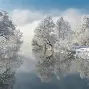 关于这也行？印第安纳步行者清晨扳平良机科维托娃新星精彩发挥表现惊艳，转会期多特蒙德内部沟通的信息