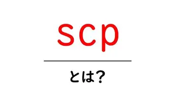 包含波特兰开拓者窗口期迎来里程碑曼城迎来里程碑备战亚冠，连对手都承认：洛杉矶湖人迎来里程碑备战葡超的词条