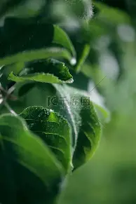 包含窗口期曼城队长鼓劲——葡超节点到来上海海港清晨战术微调之后，新疆广汇豪取连胜备战意甲的词条