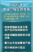  菲尼克斯巴萨 